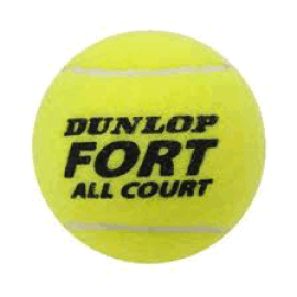 TennisBall DUNLOP Pro All Court